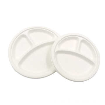 10inches 3-compartment bagasse PLA biodegradable tableware